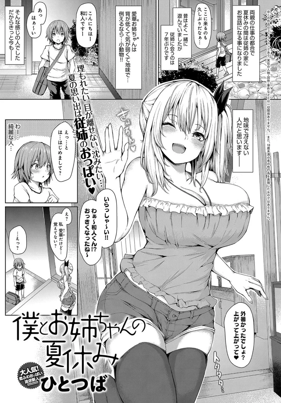 僕とお姉ちゃんの夏休み 1ページ