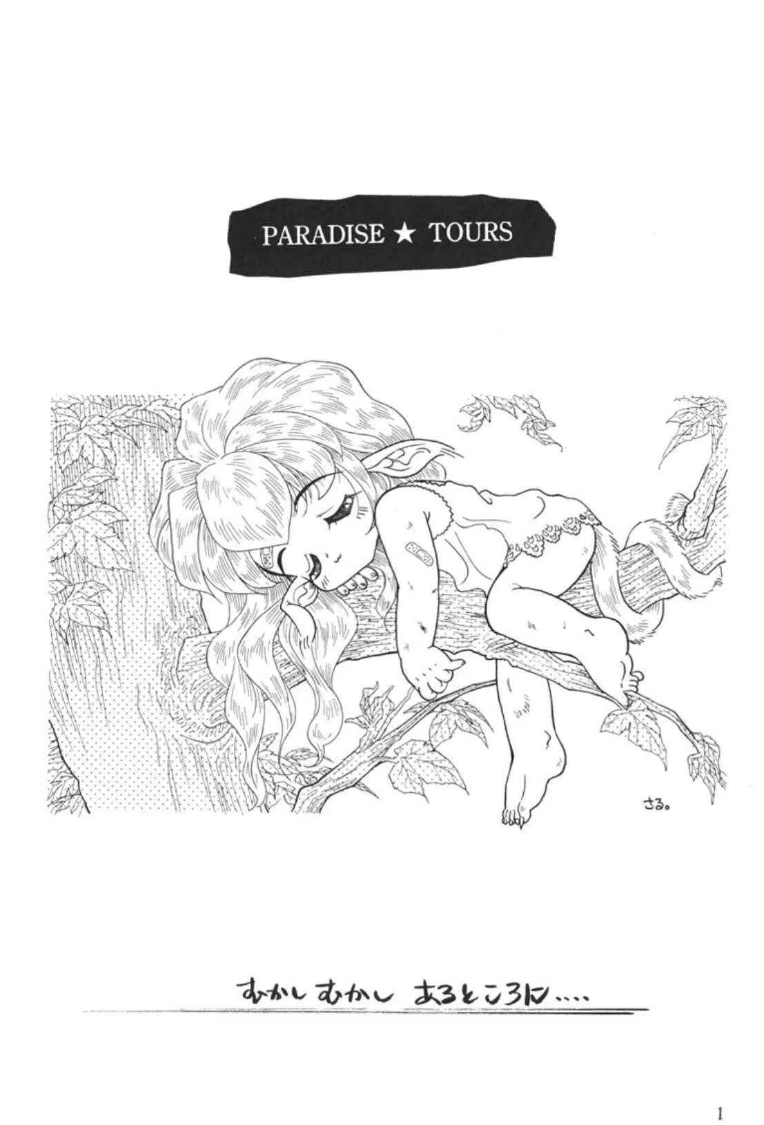 PARADISE★TOURS 3ページ