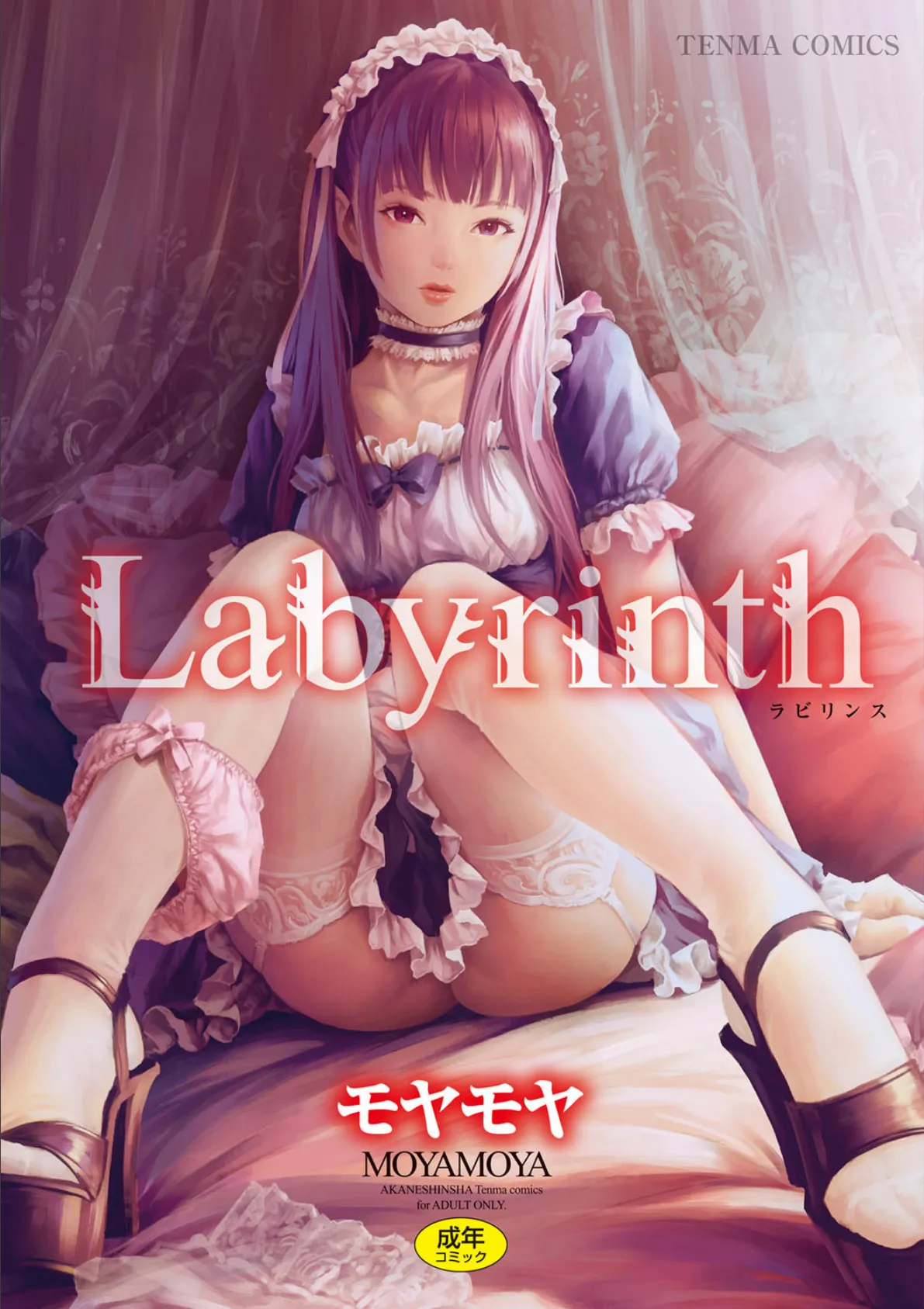 Labyrinth【FANZA限定特典付き】 1ページ