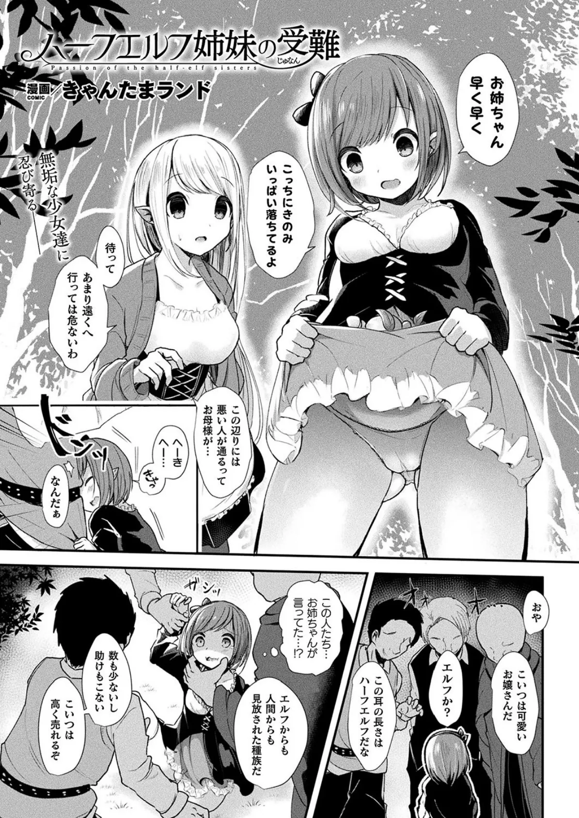 ハーフエルフ姉妹の受難【単話】 1ページ