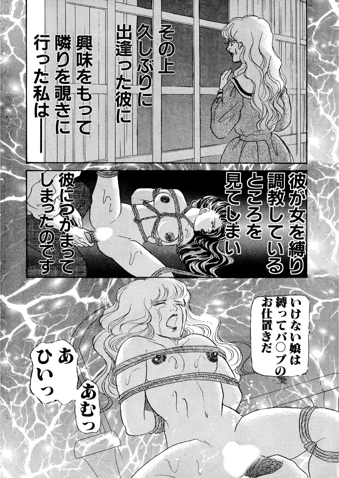 アネ恋♀宣言 Vol.45 10ページ