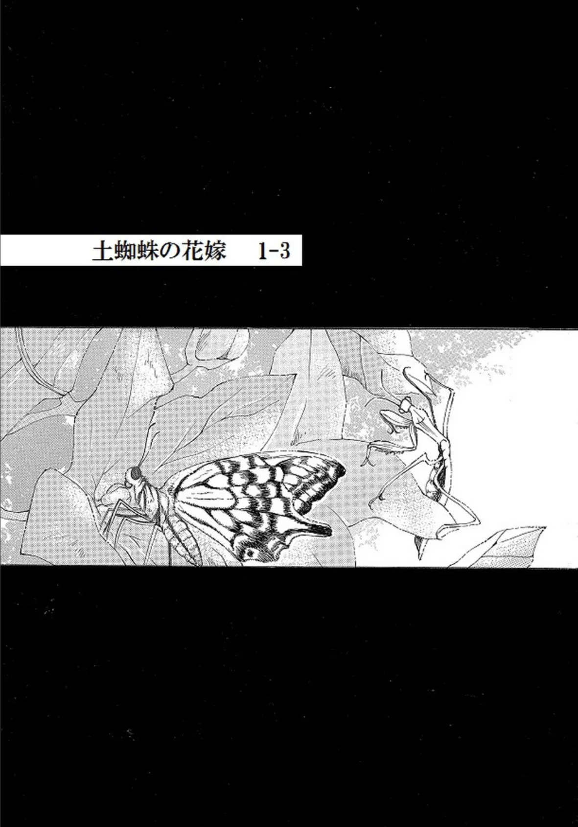 土蜘蛛の花嫁 第一章 1-3 2ページ