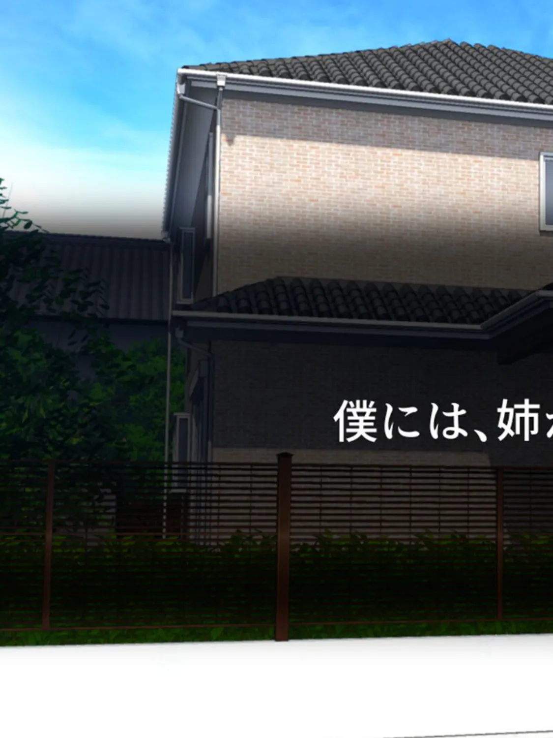 怒りが頂点に達したので姉ちゃんに触手で復讐します モザイク版 3ページ