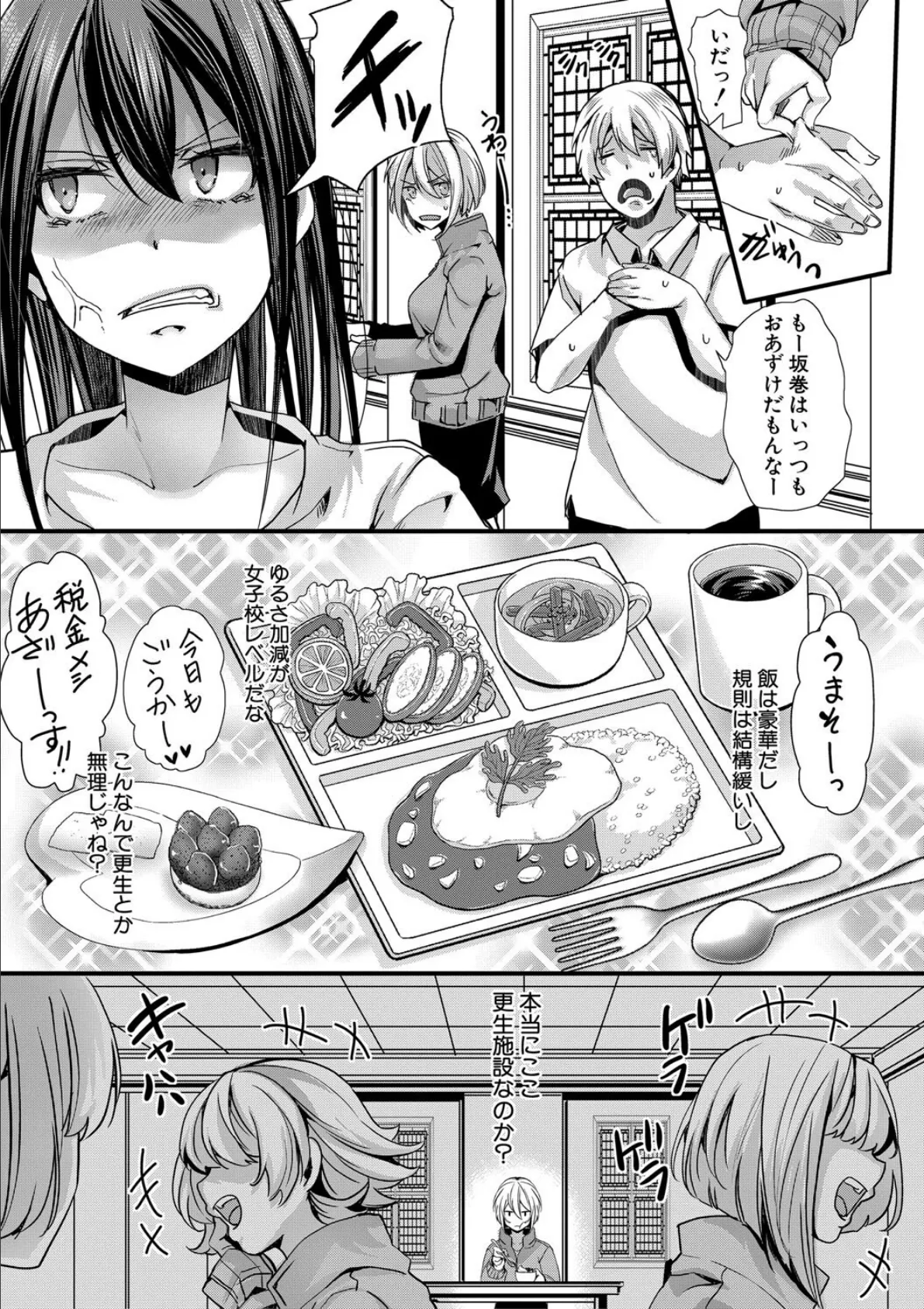 少女A矯正交尾 -人生舐めプ中のメスに肉棒で再教育しちゃいました-【FANZA特装版】 13ページ