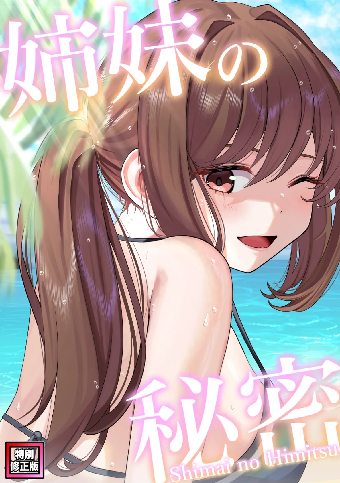 姉妹の秘密【特別修正版】（25）