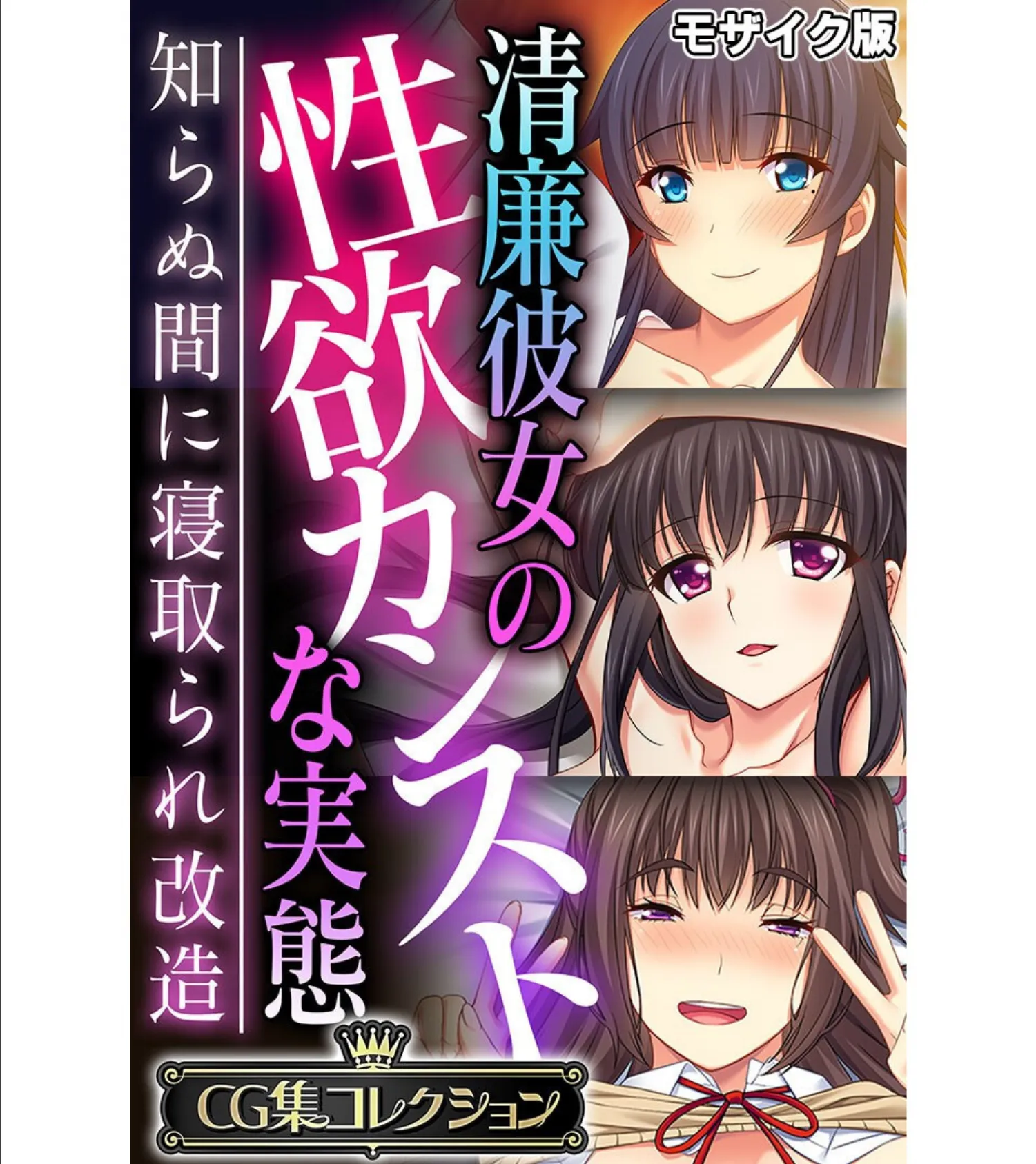 清廉彼女の性欲カンストな実態 〜知らぬ間に寝取られ改造〜【CG集コレクション】 モザイク版