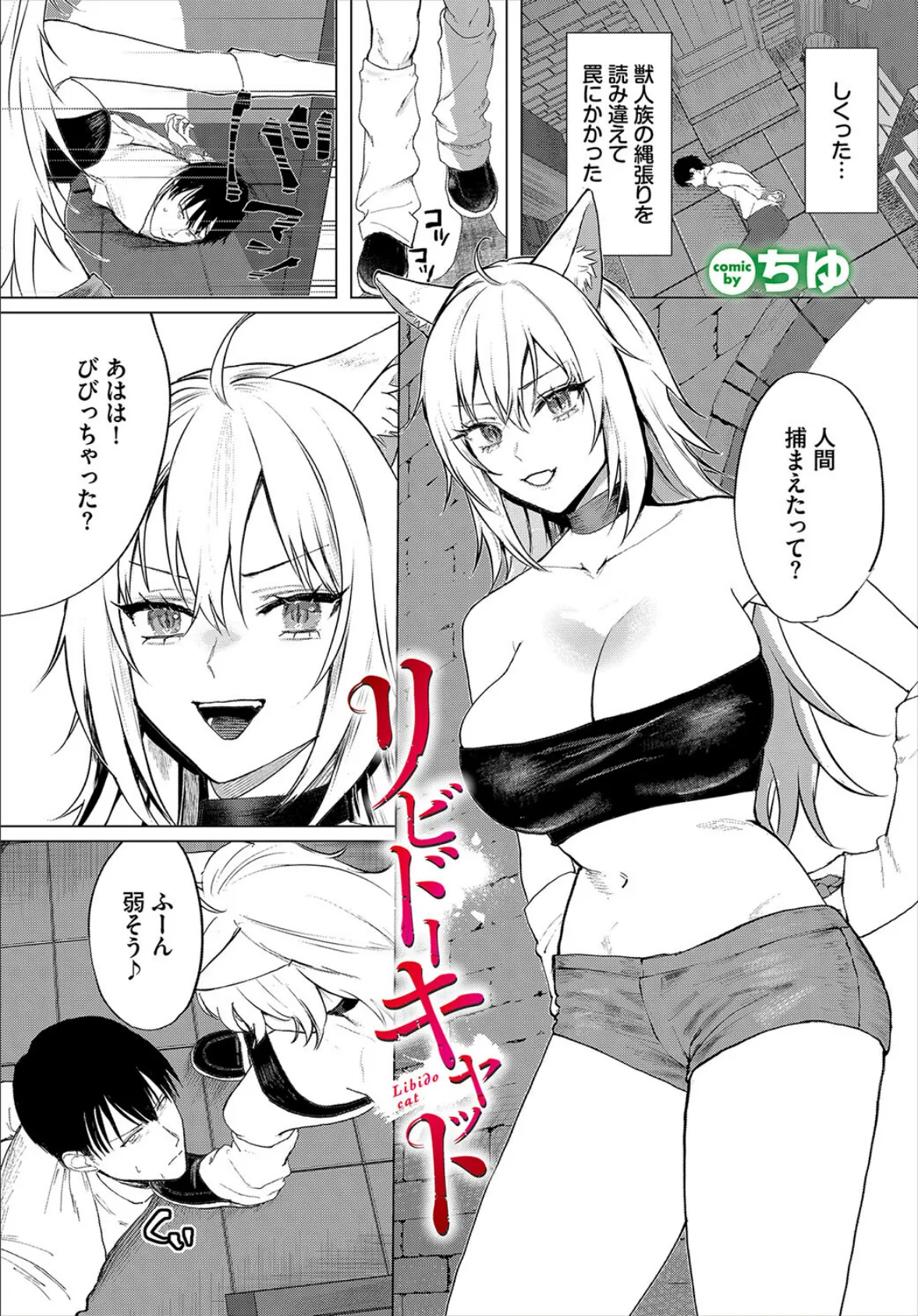 リビドーキャット