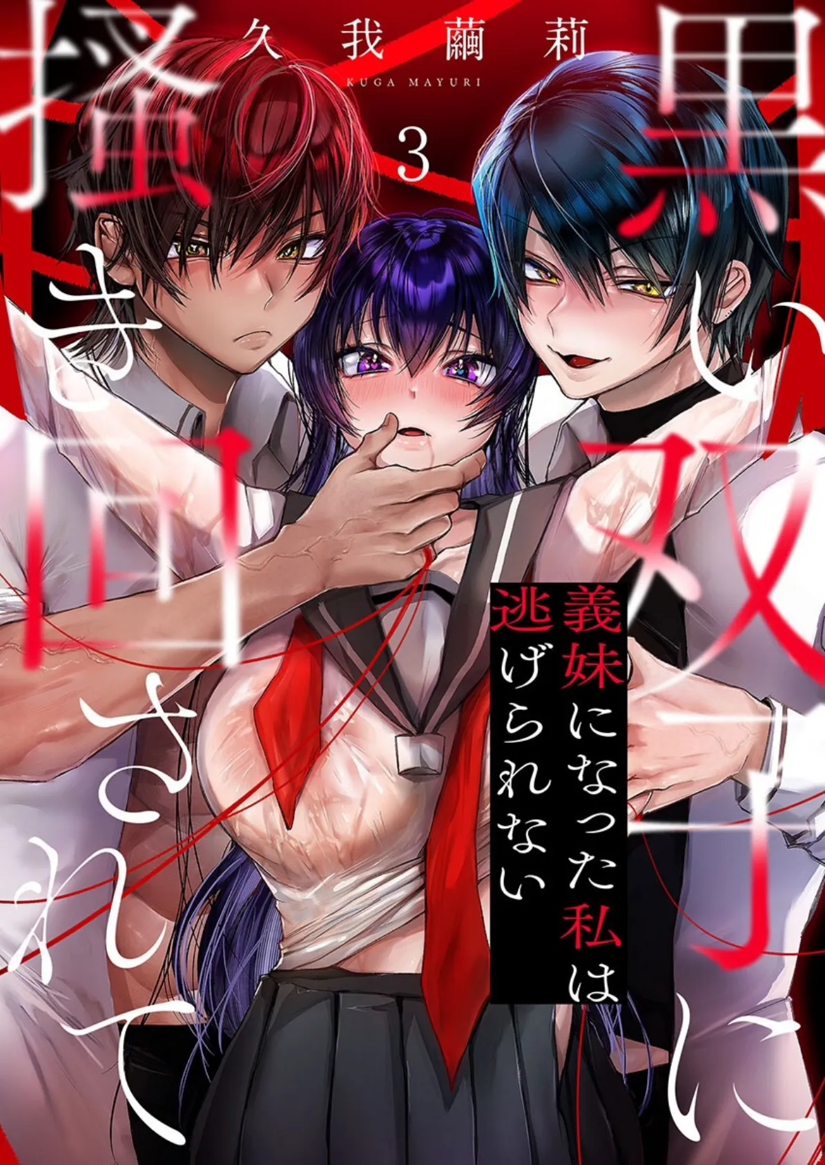 黒い双子に掻き回されて〜義妹になった私は逃げられない3